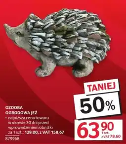 Selgros OZDOBA OGRODOWA JEŻ oferta