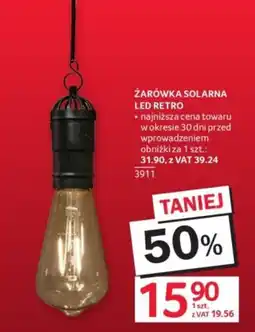 Selgros ŻARÓWKA SOLARNA LED RETRO oferta