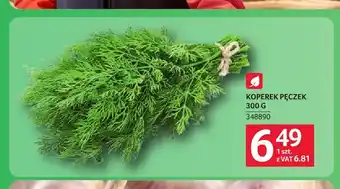 Koperek pęczek