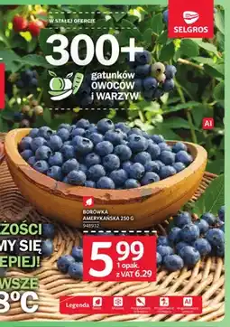 Selgros Borówka amerykańska oferta