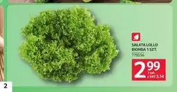 Selgros Sałata Lollo Bionda oferta