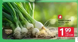 Selgros Cebula dymka oferta