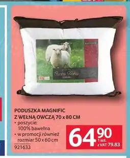 Selgros Poduszka Magnific z wełną owczą 70x80 cm oferta