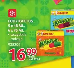 Selgros Lody Kaktus 6-pak oferta