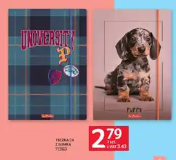 Selgros Teczka C4 z gumką Herlitz University oferta