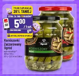Polomarket Korniszonki Zaczarowany Ogród oferta