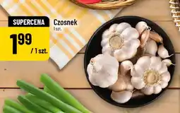 Polomarket Czosnek oferta