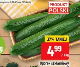 Polomarket Ogórek szklarniowy oferta