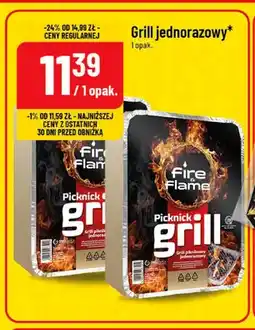 Polomarket Grill jednorazowy Fire & Flame oferta