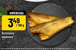 Polomarket Nototenia wędzona oferta