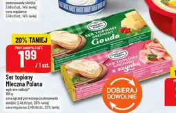 Polomarket Ser topiony kremowy Gouda Mleczna Polana oferta