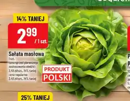 Polomarket Sałata masłowa oferta