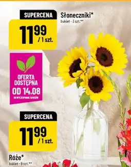 Polomarket Słoneczniki bukiet 3-pak oferta