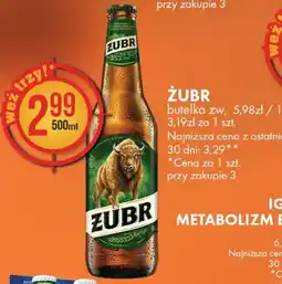 Al.Capone Żubr oferta