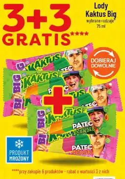Polomarket Lody Kaktus Big oferta
