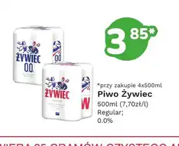 Limonka Piwo Żywiec Regular oferta
