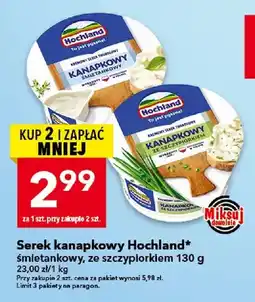 Lewiatan Serek kanapkowy Hochland śmietankowy oferta
