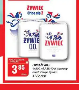 Chorten Piwo Żywiec 4-pak oferta