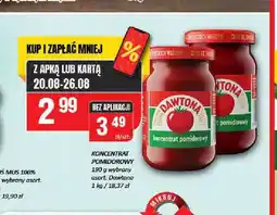 Chorten Koncentrat pomidorowy Dawtona oferta