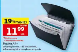 Auchan Teczka A4+ oferta