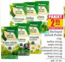 Specjał Herbapol Zielnik Polski oferta