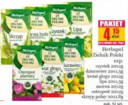Specjał Herbapol Zielnik Polski oferta