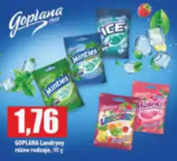 Specjał GOPLANA Landryny oferta