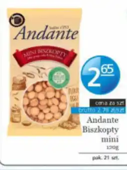 Specjał Andante Biszkopty mini oferta