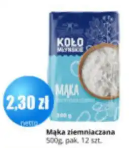 Specjał Mąka ziemniaczana Koło Młynskie oferta