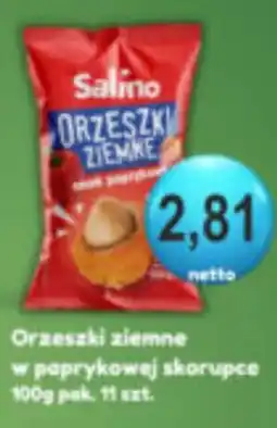 Specjał Salino Orzeszki Ziemne oferta