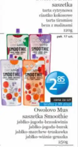 Specjał Owolovo Smoothie oferta