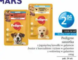 Specjał Pedigree saszetka oferta