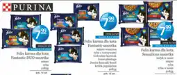 Specjał Felix karma dla kota Fantastic DUO saszetka oferta