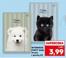 Kaufland INTERDRUK PUPPY SIGN Teczka z gumką A4 oferta