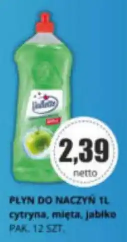 Specjał Płyn do naczyń Lidl oferta