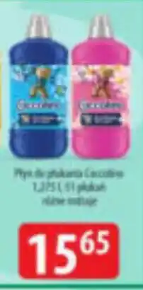 Specjał Płyn do płukania Cacolera oferta