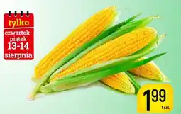 Delikatesy Piotruś Pan Kukurydza oferta