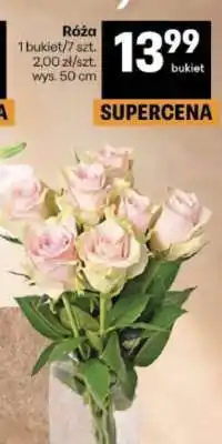 Delikatesy Centrum Róża oferta