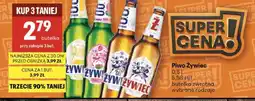 Delikatesy Centrum Piwo Żywiec oferta