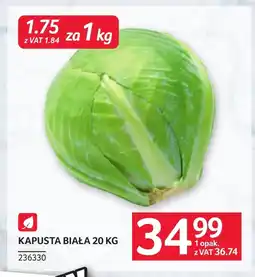 Selgros Kapusta biała oferta