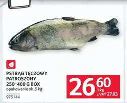 Selgros Pstrąg tęczowy Ok oferta
