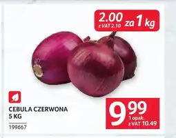 Selgros Cebula czerwona oferta