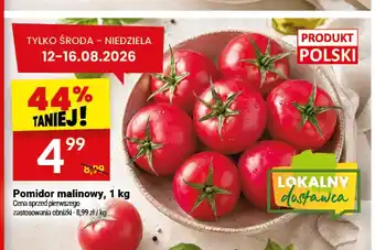 Pomidor malinowy
