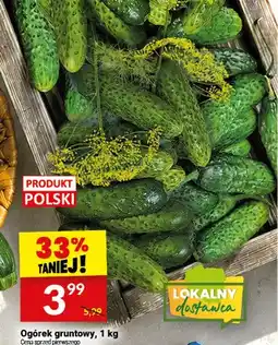 Twój Market Ogórek gruntowy polski oferta