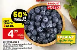 Twój Market Borówka oferta