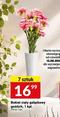 Twój Market Bukiet cięty gałązkowy goździk oferta