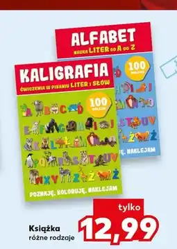 Kaufland Książka Kaligrafia oferta