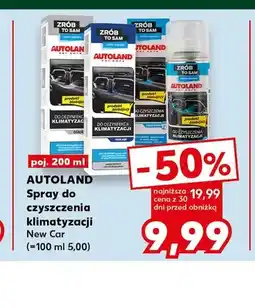 Kaufland Spray do czyszczenia klimatyzacji Autoland Black oferta