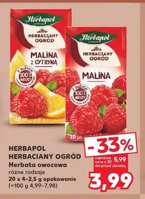 Kaufland Herbata owocowa Herbapol Herbaciany Ogród Malina z cytryną oferta