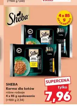 Kaufland Mokra karma dla kotów Sheba Selection in Sauce 4-pak oferta